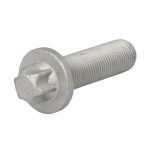 017890 болт суппорта SK7 M16x1.5x55 (с покрытием GEOMET) 10х SCHMITZ ROTOS SCB 017890